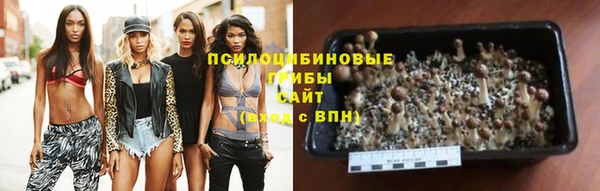 прущий лед Богородск