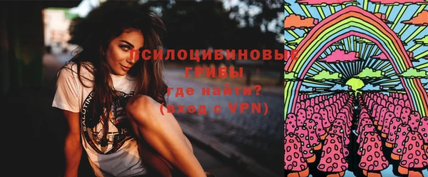 прущий лед Богородск