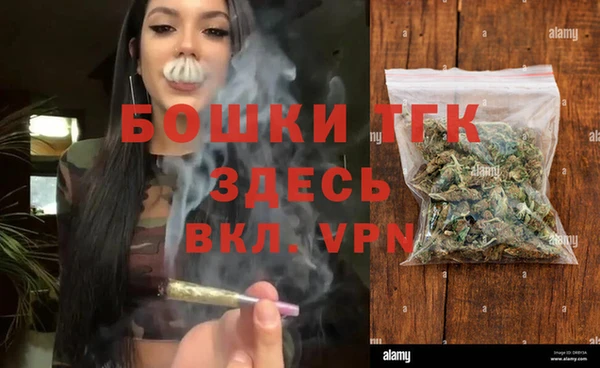гашик Богородицк