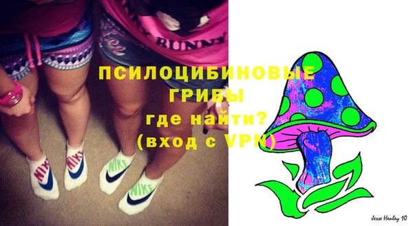 гашик Богородицк